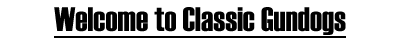 Welcome to Classic Gundogs