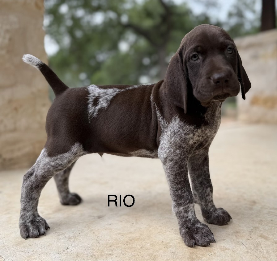 HANNAH X JAKES / RIO