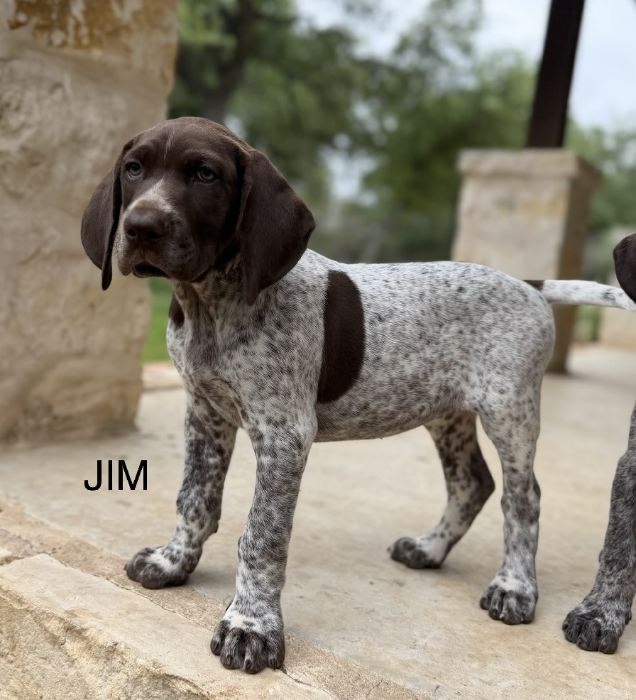 PHOEBE X COLT - JIM