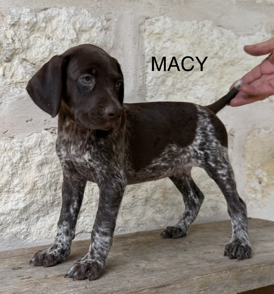 PABLO X SAGE MACY