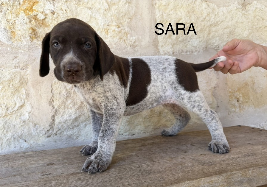 MAXIMILIAN X MILLIE / SARA