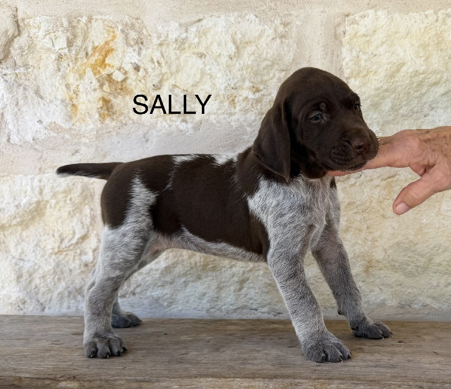 MAXIMILIAN X MILLIE / SALLY